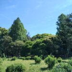 庄内緑地公園マラソン