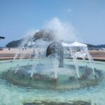 水に打たれすぎイルカ