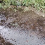 大雨