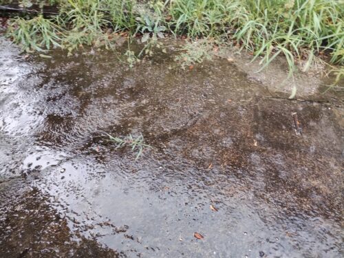大雨