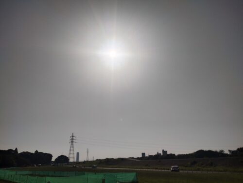 庄内緑地モーニングラン