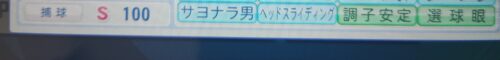 パワプロ　ルビー2